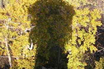 Strážný vrch u Merboltic (© Václav Čermák, 10/2007)