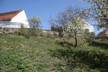 Terénní náznaky ( © Luděk Pitter 04/2007)
