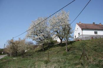 Pohled od jihovýchodu ( © Luděk Pitter 04/2007)