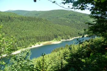 pohled z úboší Bani (Těšíňočky) na zatopené tzv. Masarykovo údolí (údolí říčky Řečice) ( © Jan P. Štěpánek 06/2009)