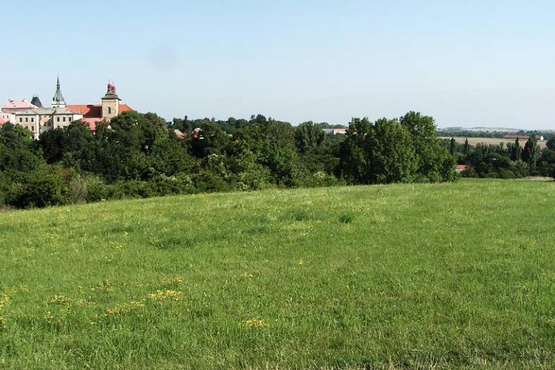 Kouřim - přemyslovské hradiště