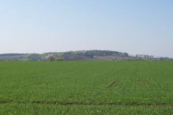 Pohled na Skalky z rovin Hané, od obce Čelčice (© Ivo Rozehnal, 04/2011)