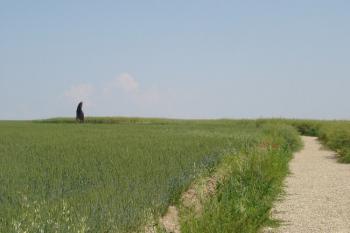 k menhiru vede od silnice oblázky vysypaná cesta ( © iV 9.6.2007)