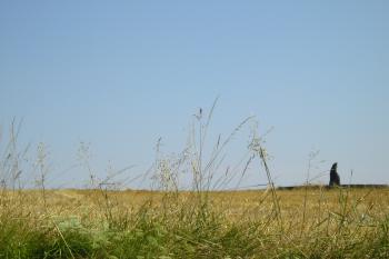 Z povzdálí (© M.Schichová, 07/2008)