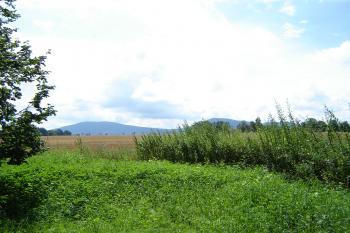 Kraví Hora (© Tomáš Marek, 07/2006)