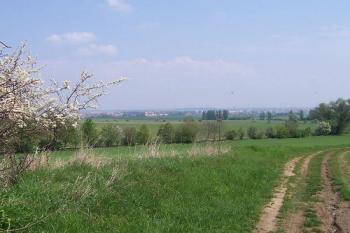 Kloboučky - Pohled na lokalitu, vlevo potůček. (© Ivo Rozehnal, 06/2007)