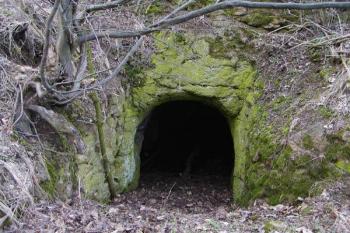Do skály vytesaný sklípek v prostoru původního parkánu ( © Filip Matoušek 03/2002)