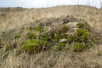 hrad Brada (© David Koral, 03/2010)