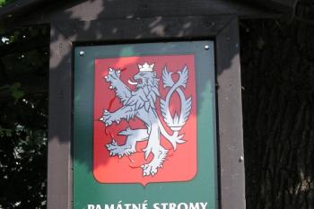  ( © Jan P. Štěpánek 06/2007)