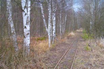 úzkorozchodná dráha z doby těžby kaolinu (© Anna Hladíková, 03/2010)