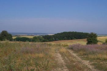 Nad Brániskem (© Ivo Rozehnal, 08/2006)