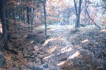 příkop (© Seyček 2003)