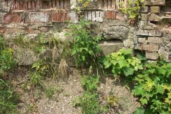 Hrad Stříbrná Skalice - zbytky bergfritu (© Milan Caha, 06/2007)