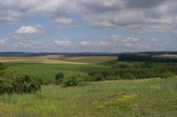 Horka u Ohrozimi (© Ivo Rozehnal, 06/2007)
