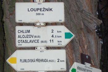Loupežník (© Ivo Rozehnal, 06/2007)