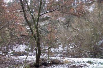 Loupežník (© Ivo Rozehnal, 12/2006)