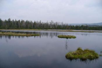 Chalupská Slať - jezírko (© Pavel Jarý,  07.05.2007)