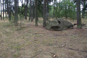  ( © Jiří Čížek 07/2007)