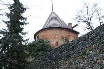 Bašta nad Podměstským rybníkem (© Ivan Grisa, 03/2008)
