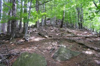 Pohled od západu na hradní kopec ( © Jan P. Štěpánek 07/2007)