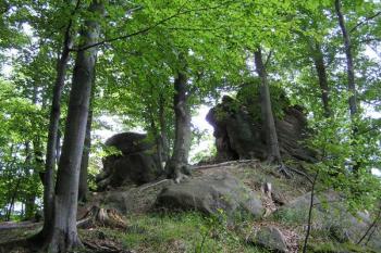 Pohled od severu (severovýchodu) na vrchol Klenova, kde stával hrad ( © Jan P. Štěpánek 07/2007)