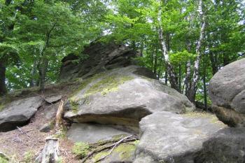 Pohled k vrcholu Klenova od severozápadu ( © Jan P. Štěpánek 07/2007)