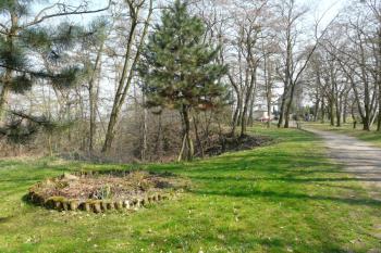Přilehlý lesopark (© Jaroslav Šefčík, 04/2009)