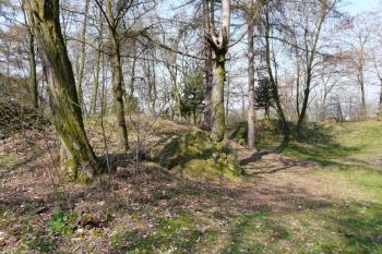 Přilehlý lesopark (© Jaroslav Šefčík, 04/2009)