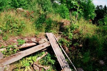 Dobřany jádro hradu ( © Tomáš Šimůnek 07/2004)