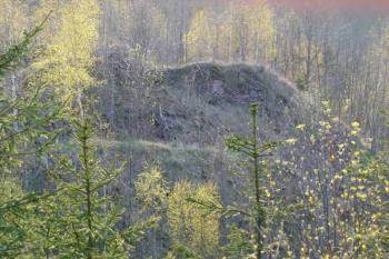 Pohled přes šíjový příkop (© Iva Spurná 04/2005)
