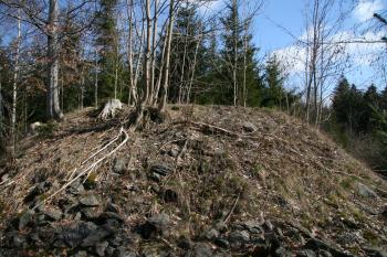 Předsunutá věž ( © Petr Nožička 04/2010)