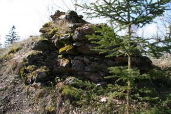 Nevýraznější zbytek zdi ( © Petr Nožička 04/2010)