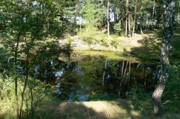  (© Prudký Martin, 07/2010)
