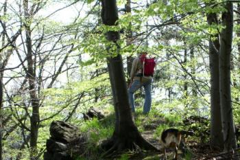 zbytky hradu Hlodný (© Vlasta Vachatová 2.5.2005)