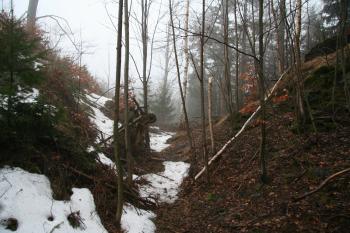 Příkop hradu ( © Petr Nožička 03/2010)