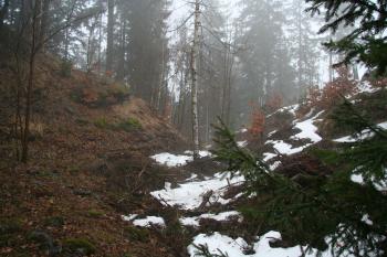 Příkop hradu ( © Petr Nožička 03/2010)