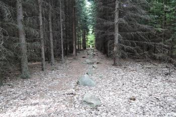 Kounovské kamenné řady (© aleshwarrior, 05/2015)