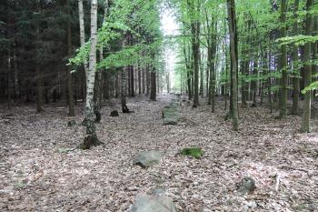 Kounovské kamenné řady (© aleshwarrior, 05/2015)