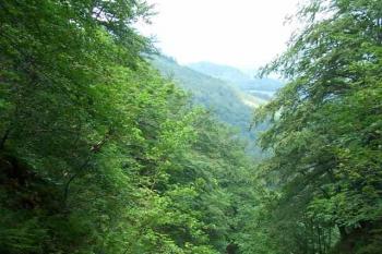 Bučací vodopády (© Michal Sušovský, 08/2007)