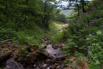 Bučací vodopády (© Michal Sušovský, 08/2007)
