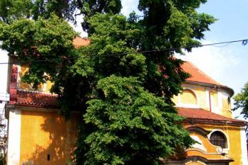 Kostel Obrácení sv. Pavla v Brandýse nad Labem ( © Pavel Vítek 07/2007)