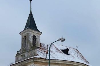  (© František Kinař, 08/2013)