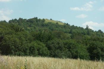 Vrch mužský z hradiště Hrada (© Milan Caha, 07/2007)