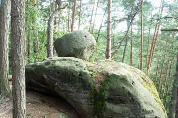 boční pohled (© Milan Caha, 07/2007)
