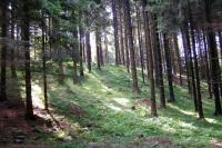 šance Řečice