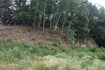 celkový pohled od severu (© Milan Caha, 07/2007)