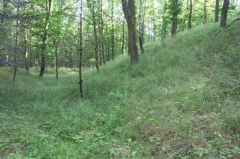 Val na jihovýchodním rohu hradiště (© Milan Caha, 07/2007)