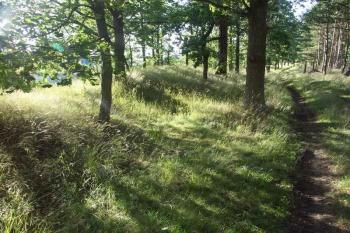 západní - nízký - val na hraně údolí (© Milan Caha, 07/2007)
