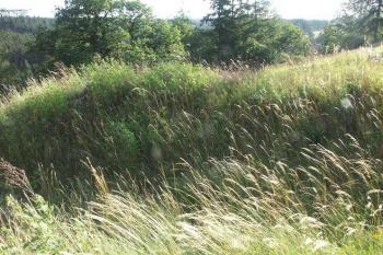val oddělující hradiště od akropole (© Milan Caha, 07/2007)