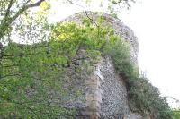 Wleński Gródek